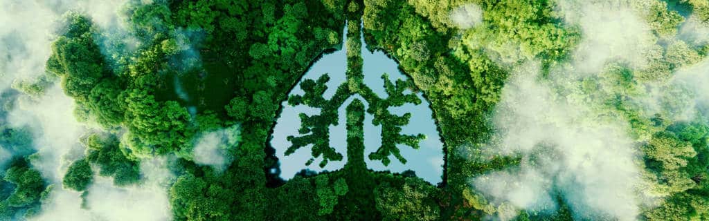 ecosostenibilità rappresentata con la chioma di alberi che formano due polmoni